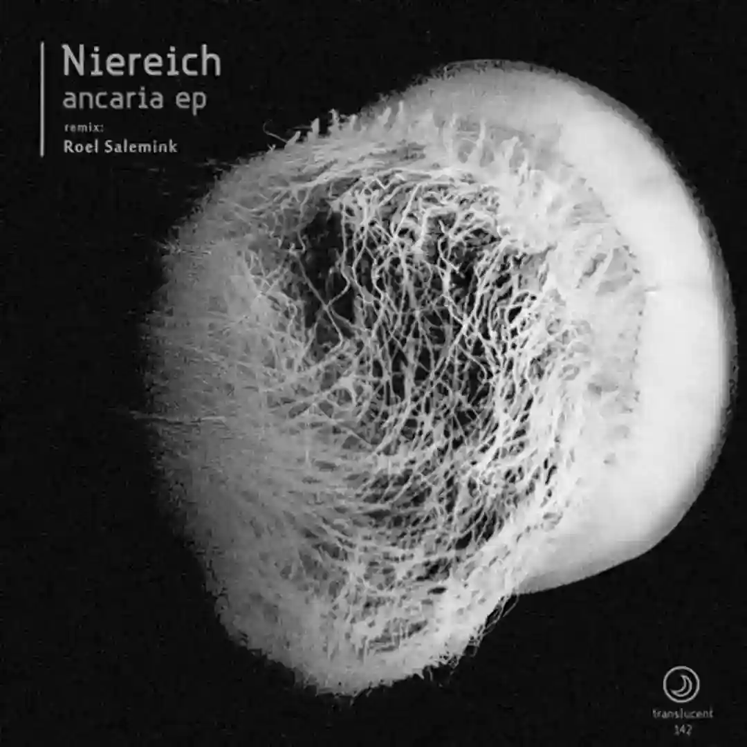 Ancaria (Original Mix) cover