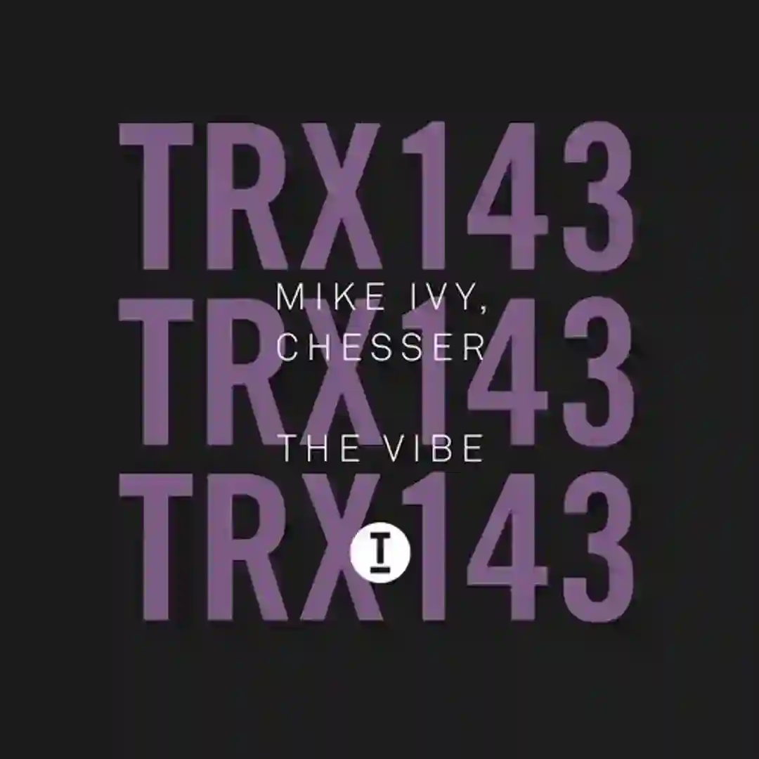 The Vibe cover