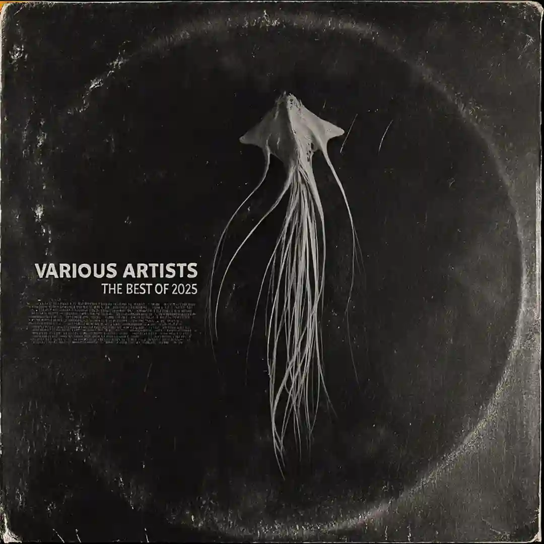 Voidwalker (Original Mix) cover