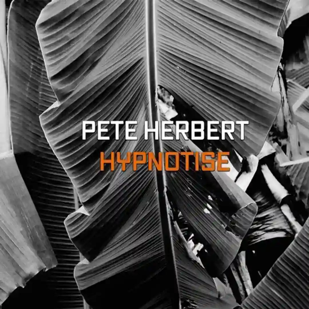 Hypnotize (Max Essa Remix) cover