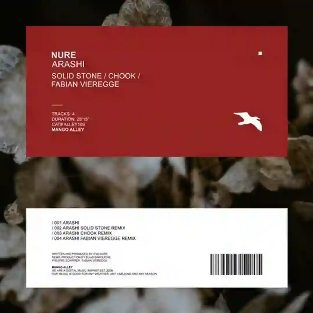 Arashi (Fabian Vieregge Remix) cover