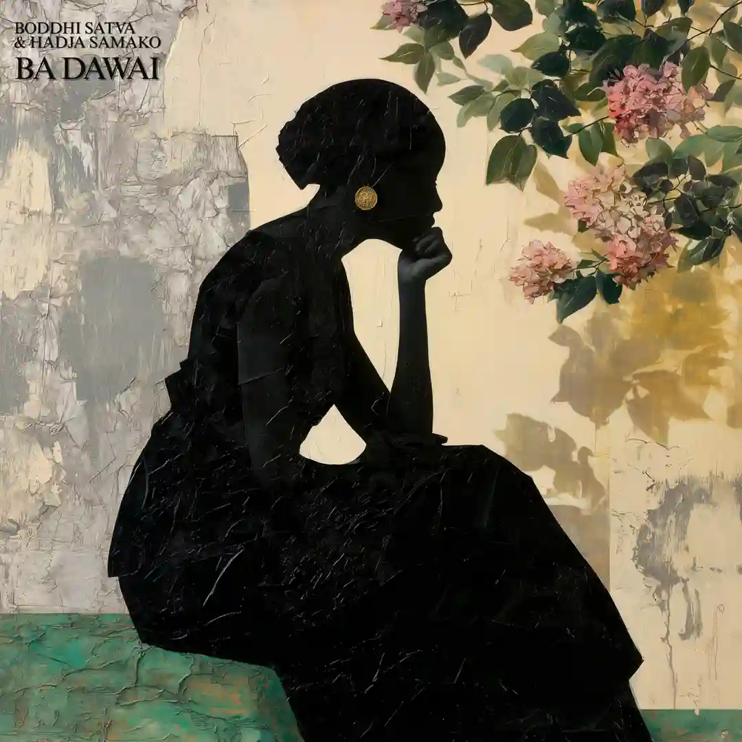 Ba Dawai (Inst Mix) cover