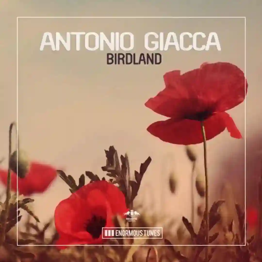 Birdland (Original Mix) cover