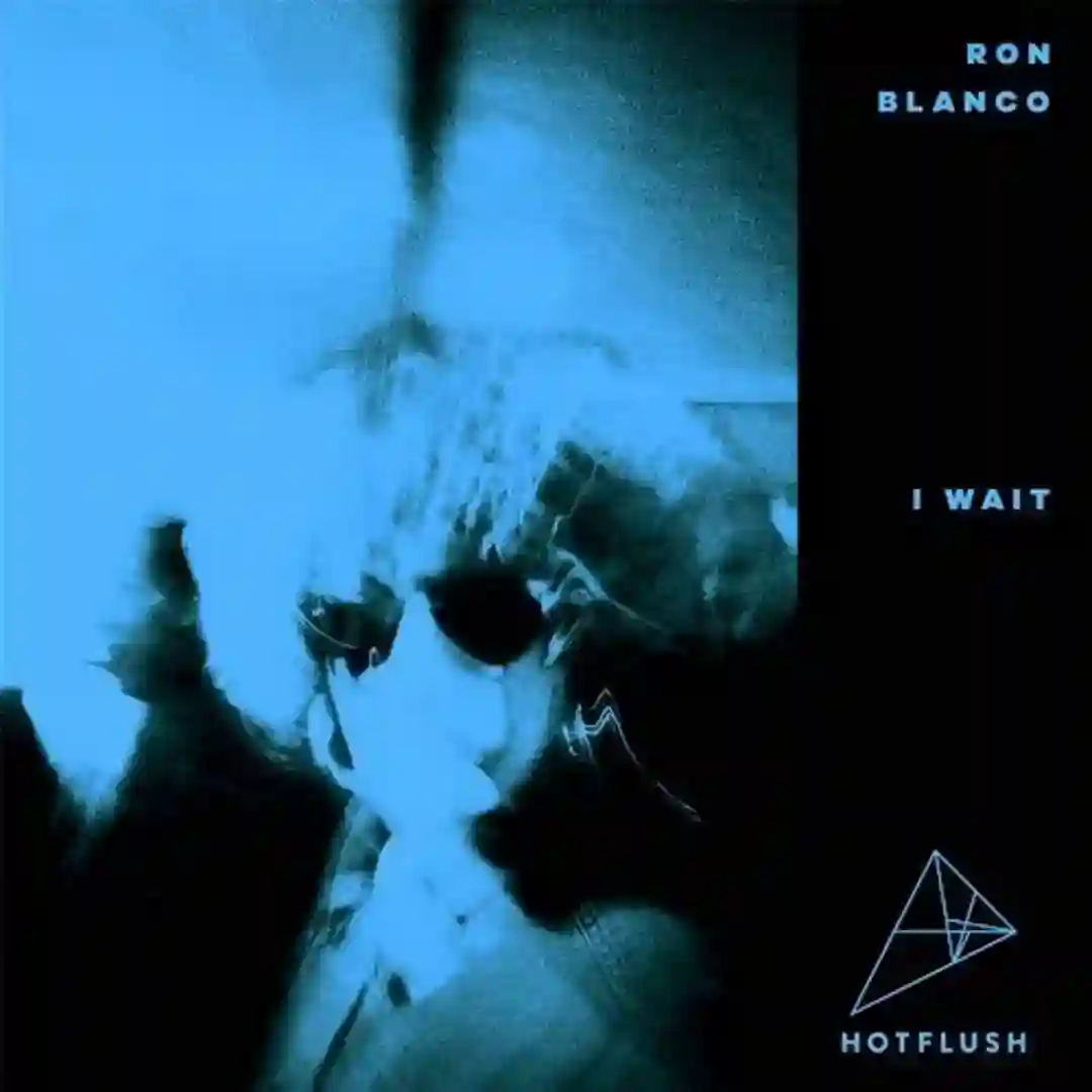 I Wait (Mall Grab Remix) cover
