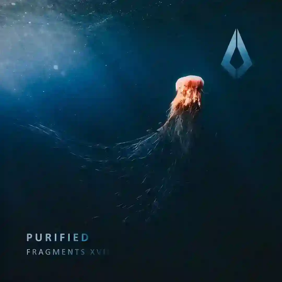 Fragments XVII cover