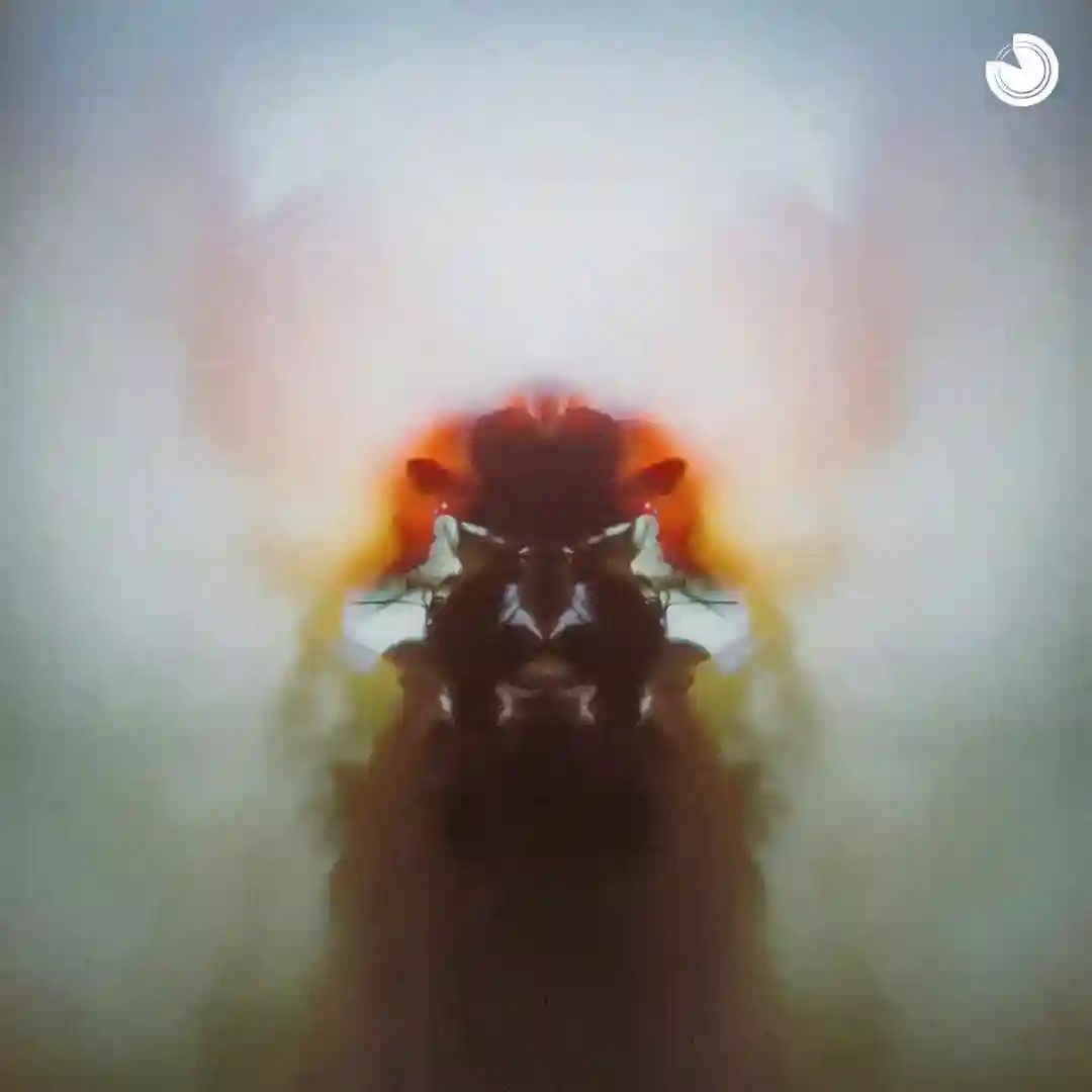 Speed Of Light (Sons Of Hidden Remix) cover