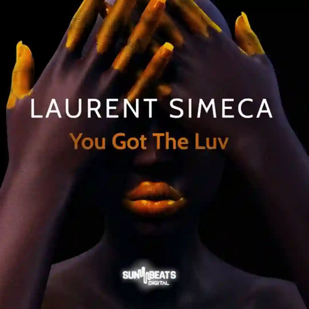 You Got the Luv cover