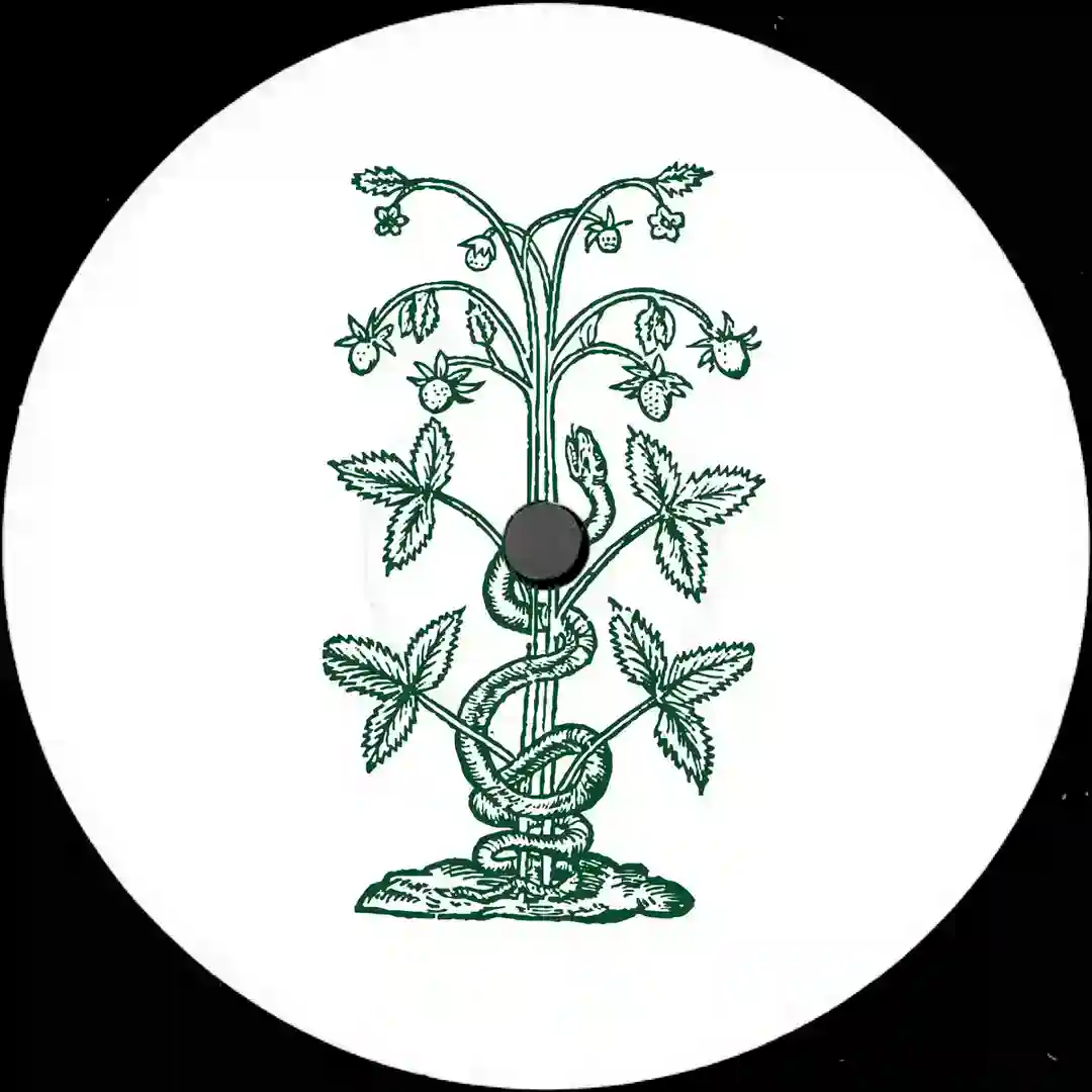 Rumble The Funk (Blasha & Allatt Remix) cover
