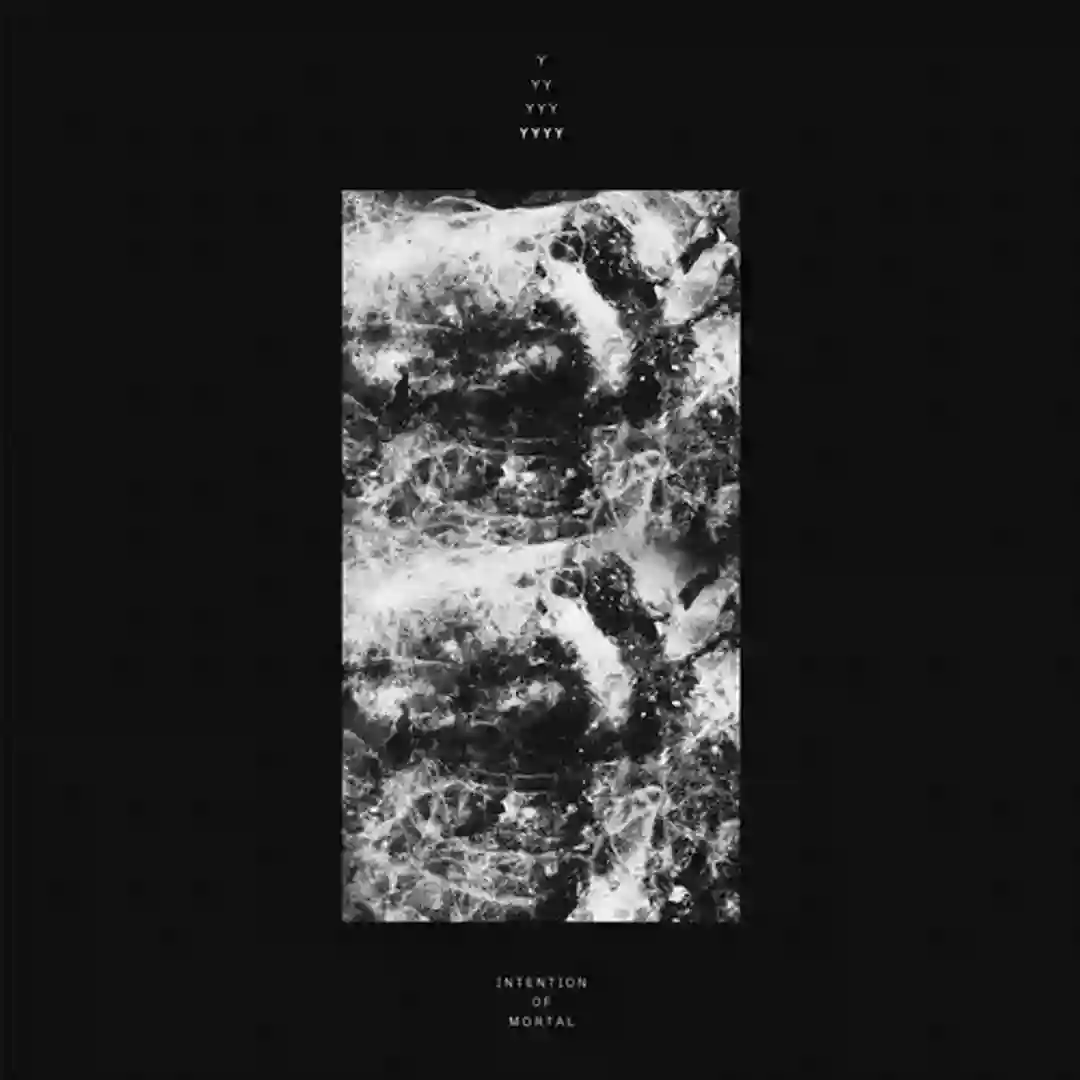 Stone Relief Of God's Face (Original Mix) cover