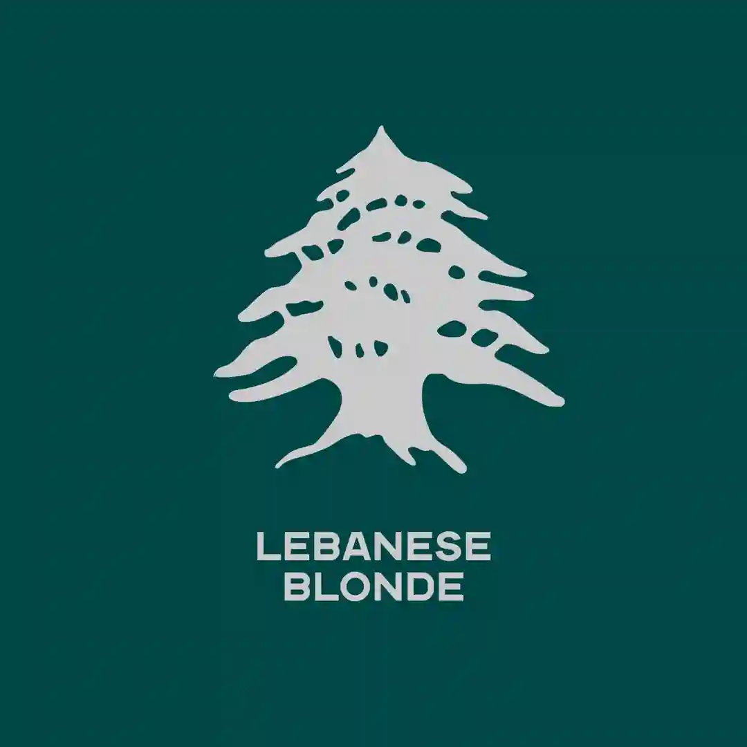 Lebanese Blonde (Extended Mix) cover
