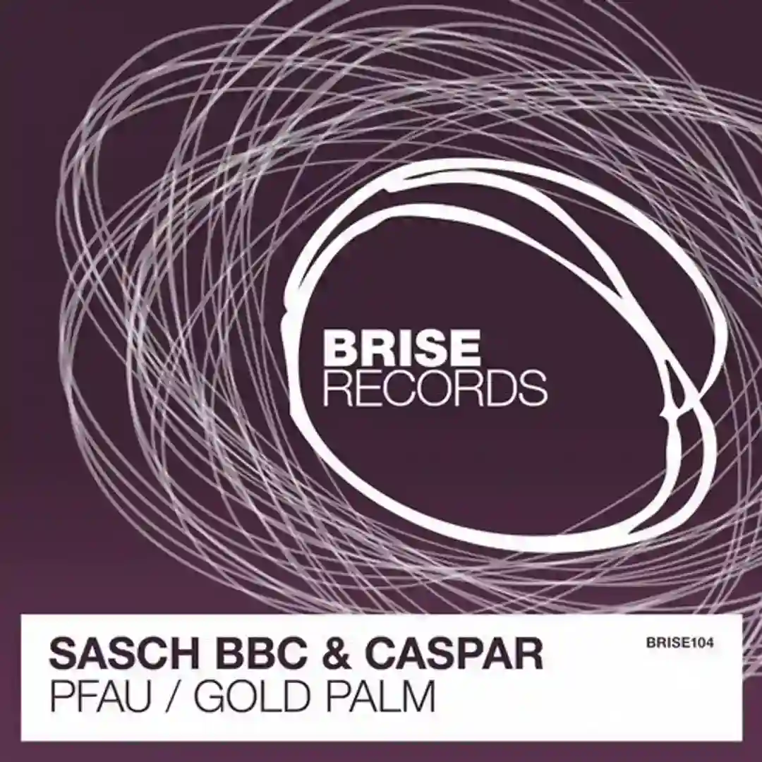 Gold Palm (Original Mix) cover
