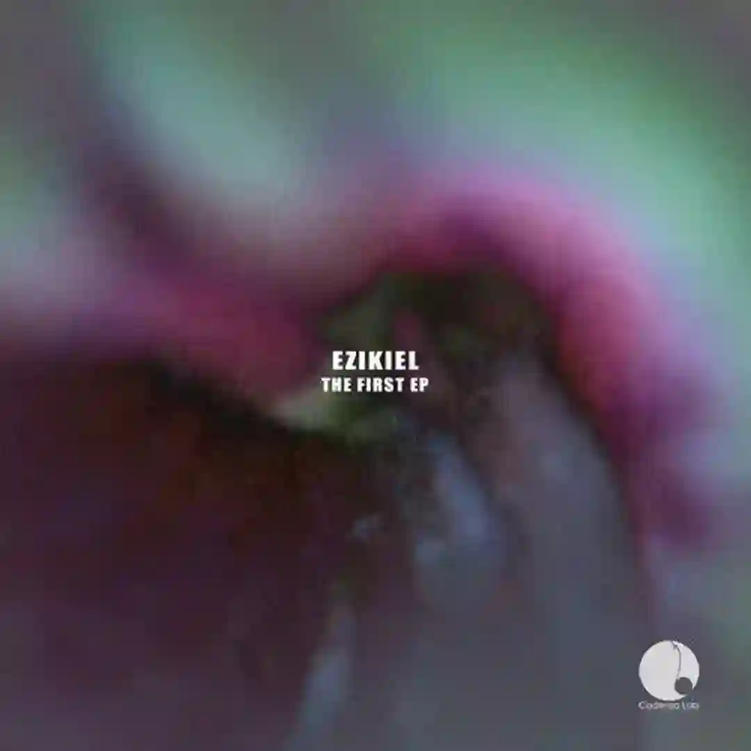 The First cover
