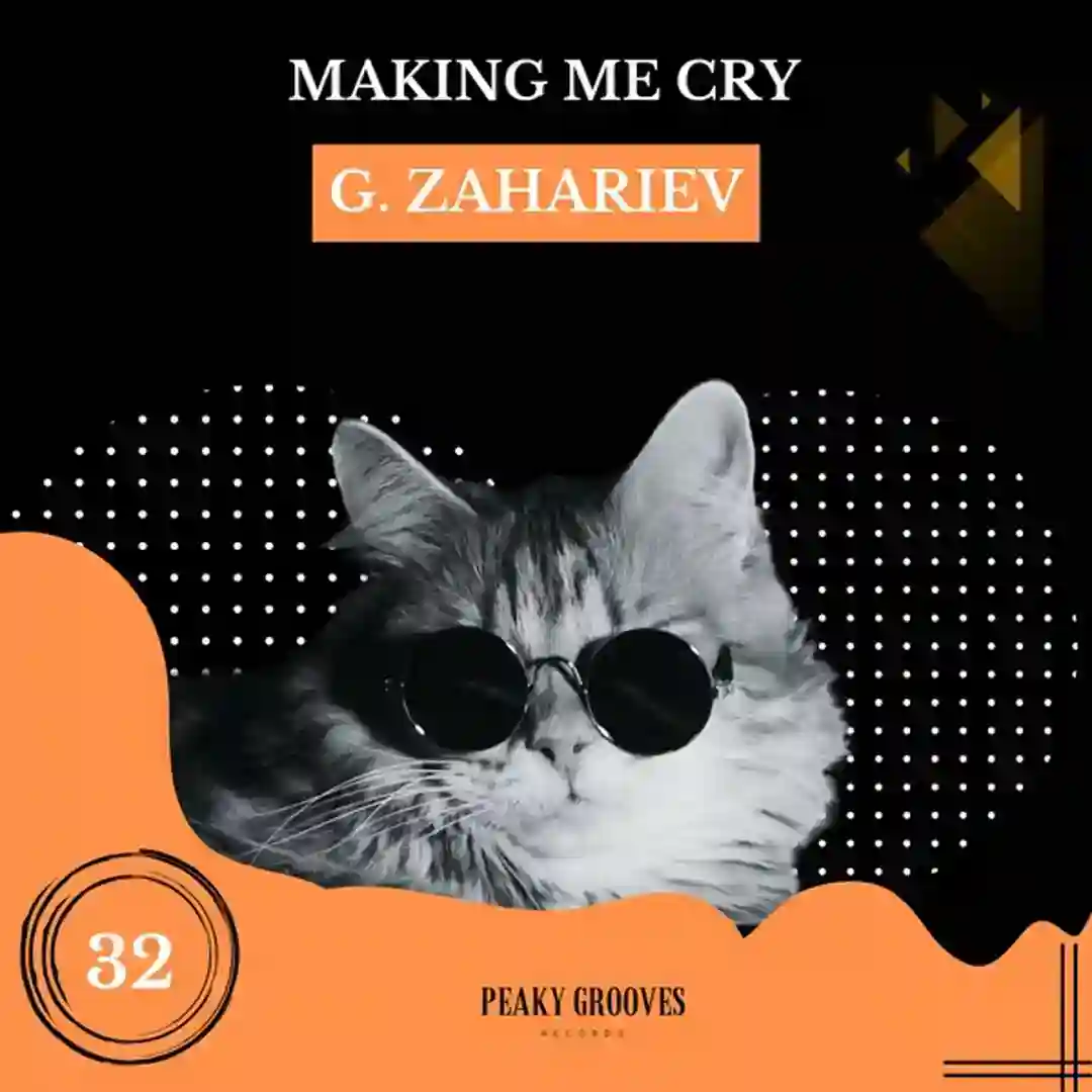 Making Me Cry (Original Mix) cover