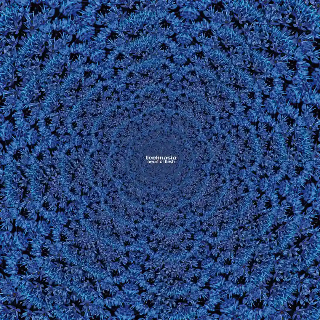 Octaval (Original Mix) cover