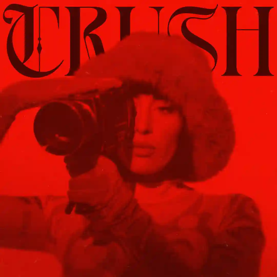 Crush (Extended Mix) cover