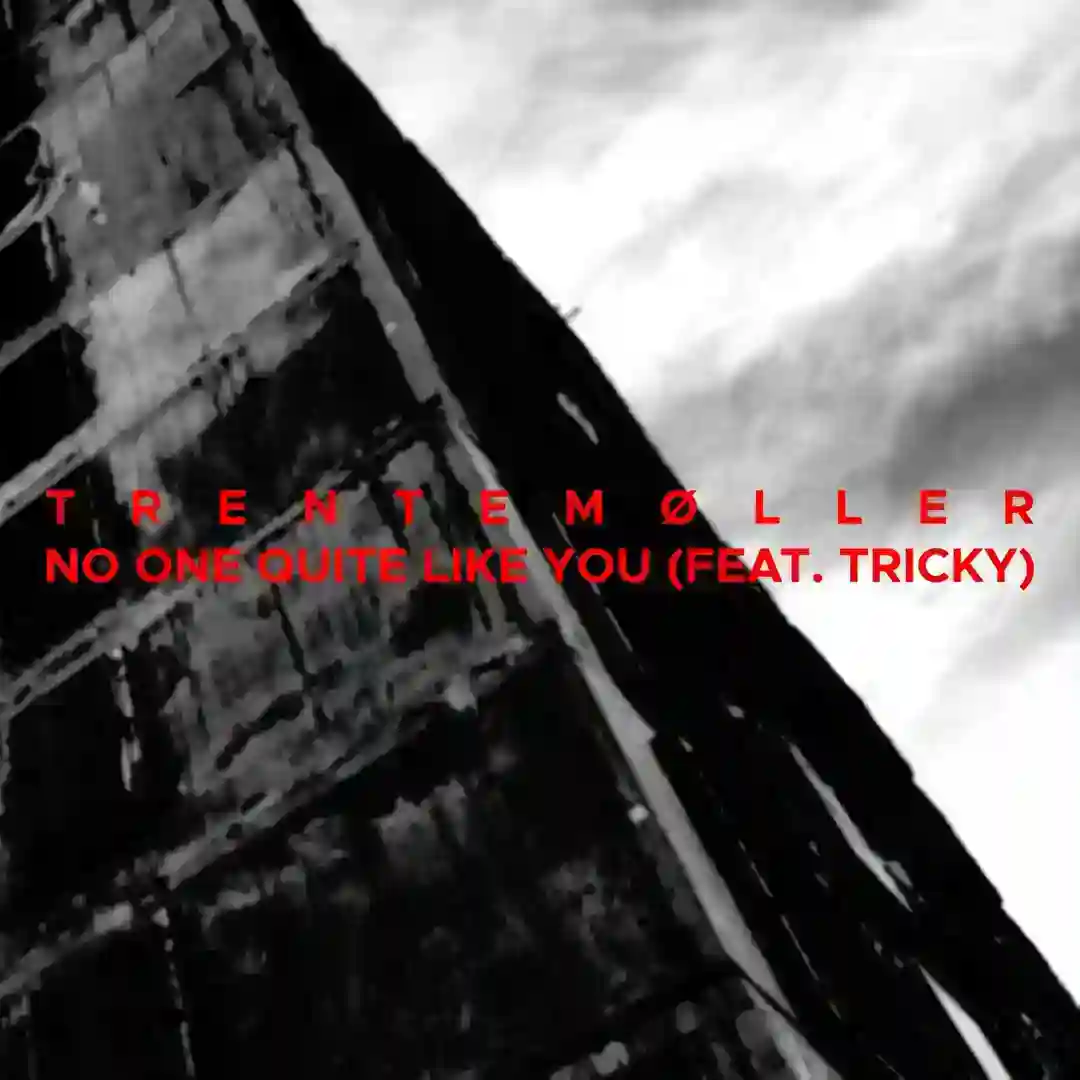 No One Quite Like You feat. Tricky cover