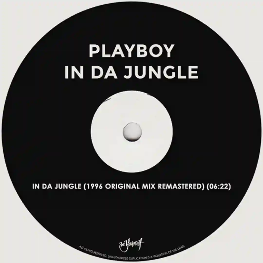 In Da Jungle (Single Edit) cover