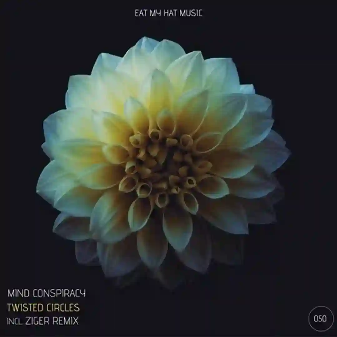 Twisted Circles (Original) cover