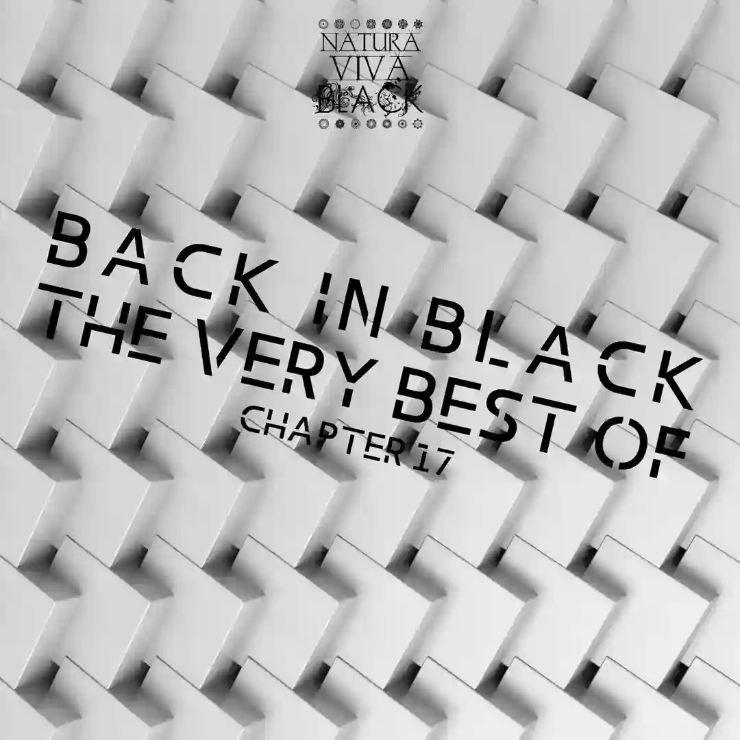 Back In Black! (The Very Best Of) Chapter 17 cover
