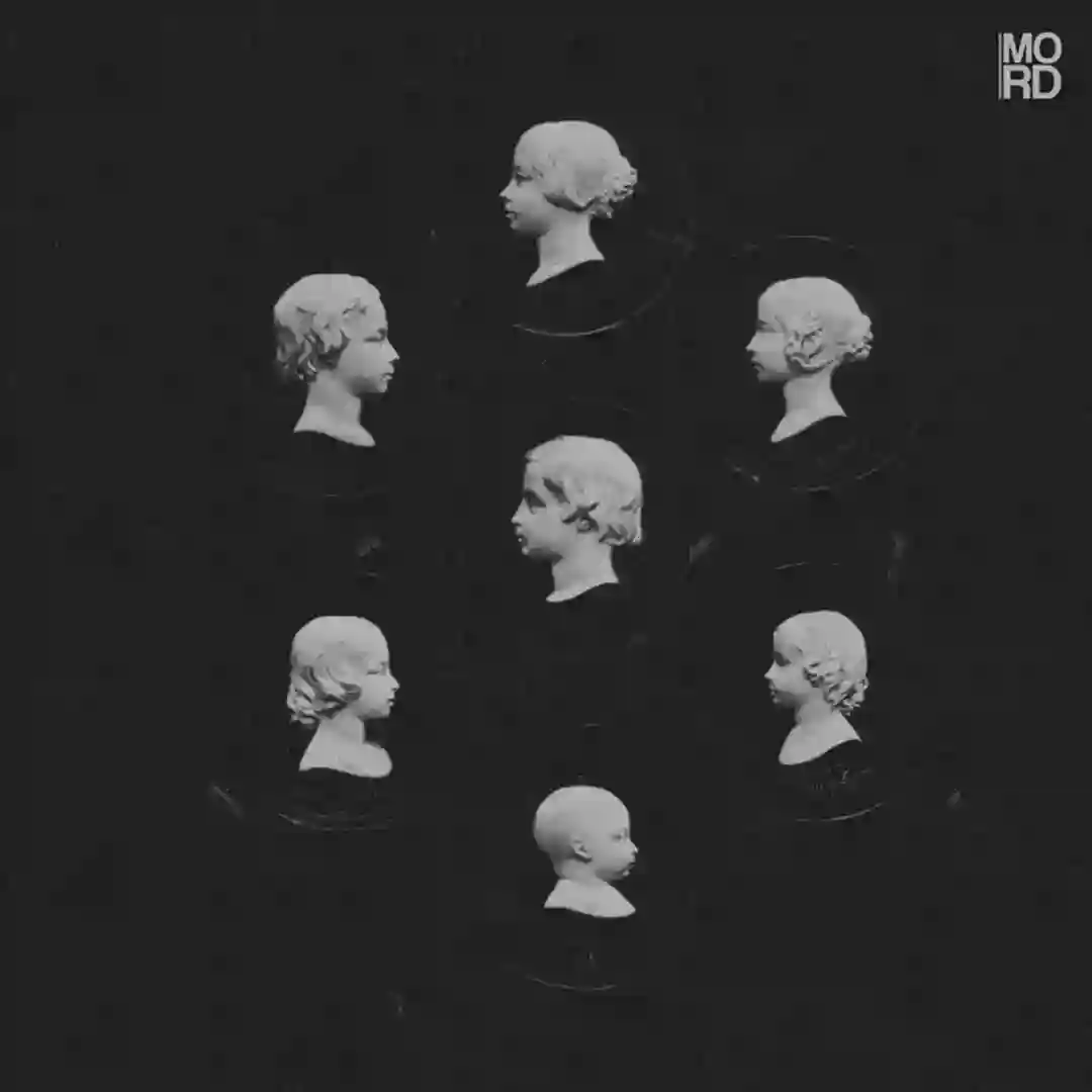The Sick Man cover