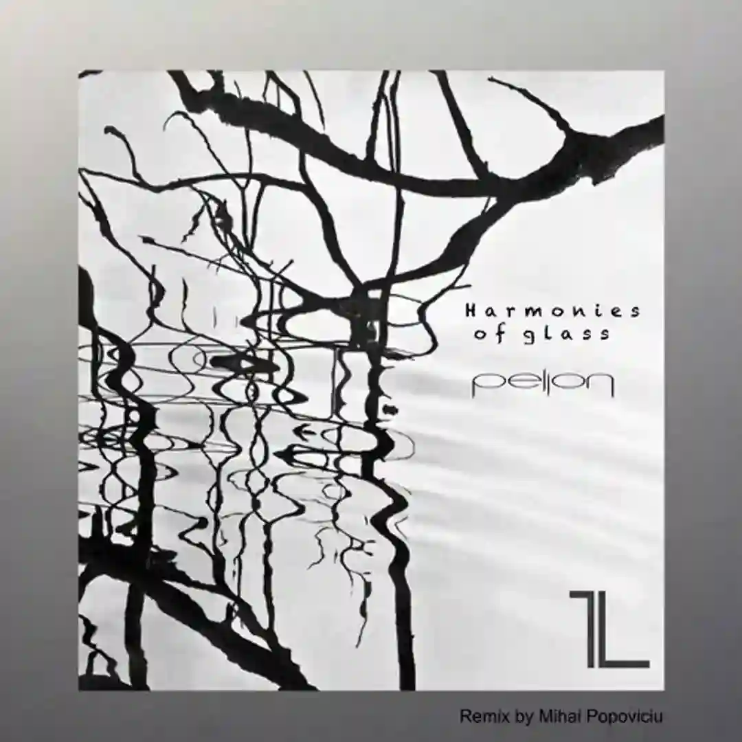 Flowers in the Diary (Original Mix) cover