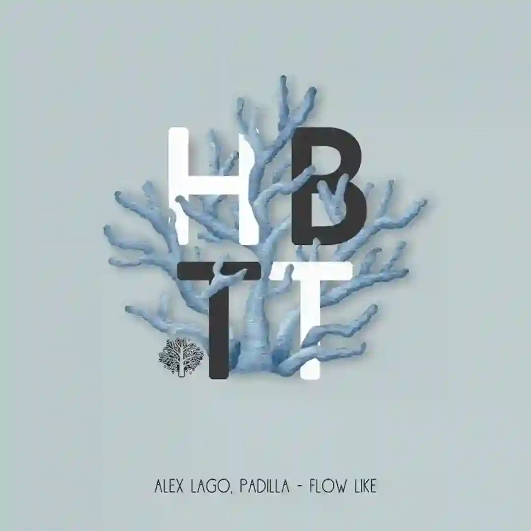 Flow Like cover