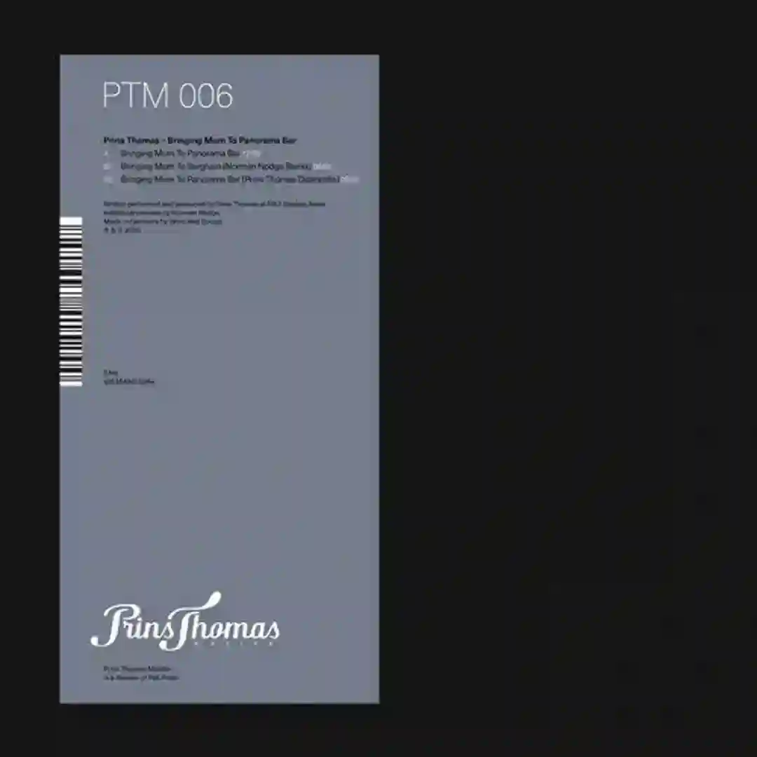 Bringing Mum To Berghain (Norman Nodge Remix) cover