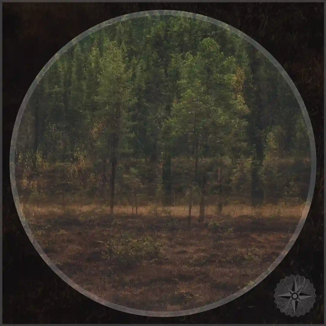 Detachment (Original Mix) cover