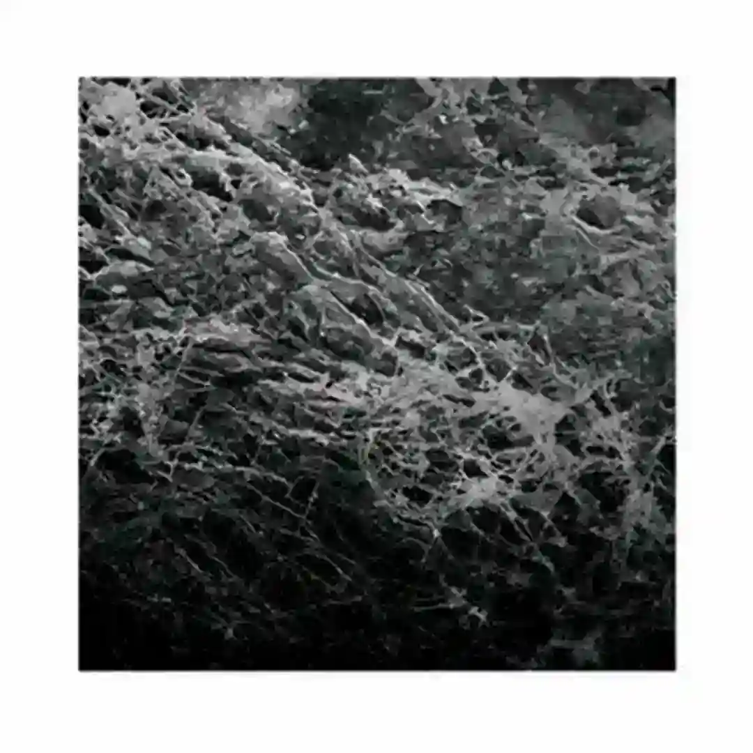 Specifics cover