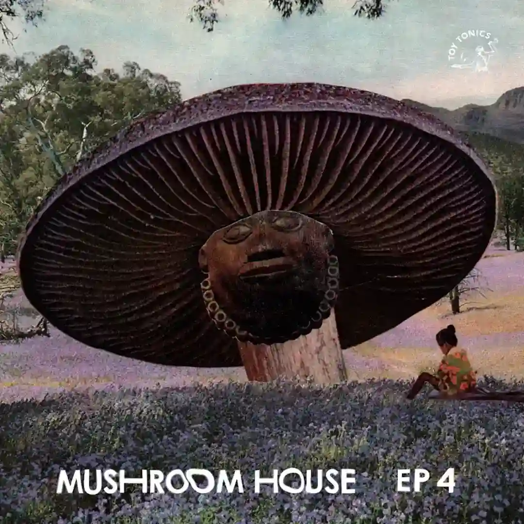 Besamo Fly (Extended Version) cover