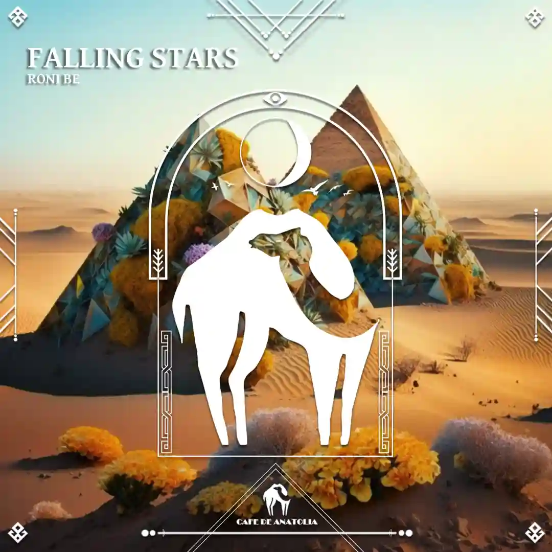 Falling Stars (Original Mix) cover