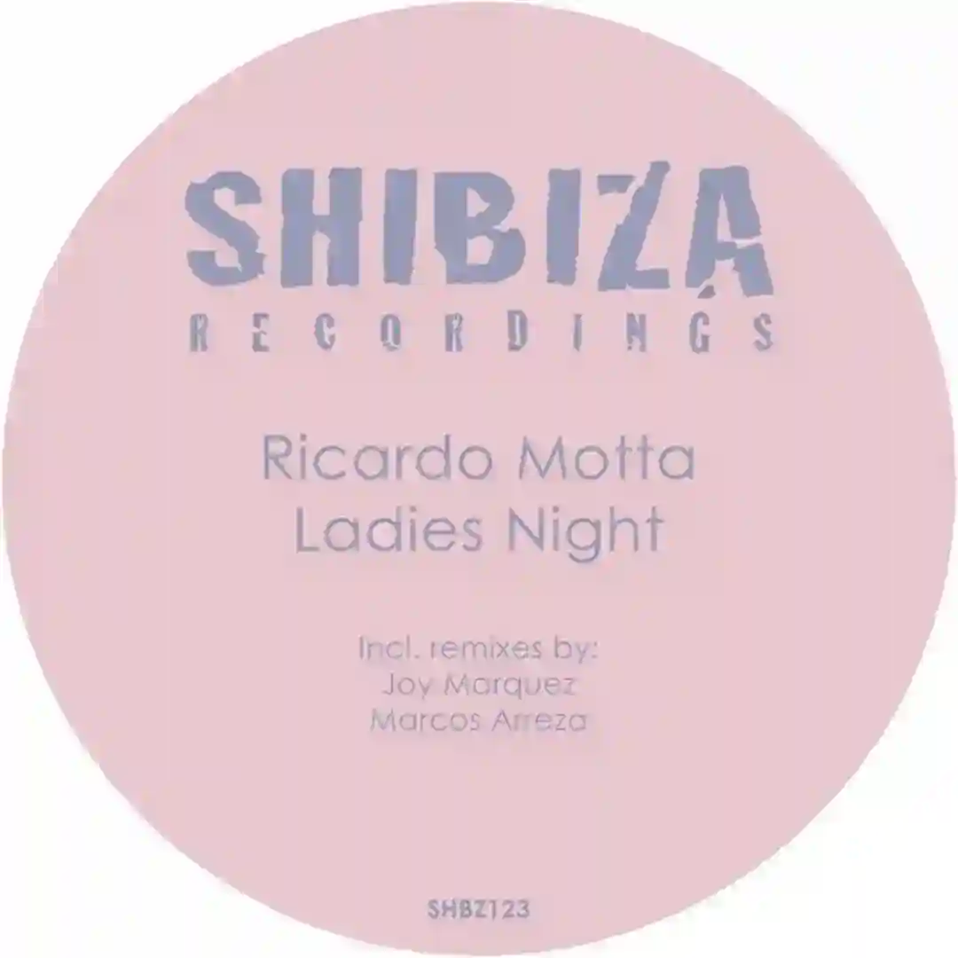 Ladies Night (Original Mix) cover