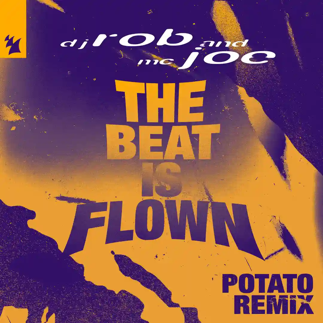 The Beat Is Flown (Potato's Dub Mix) cover