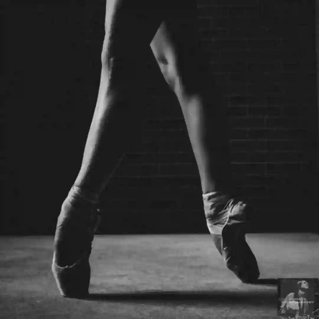 Make Your Body Move, Chile (MS III Mental Movement Mix) cover