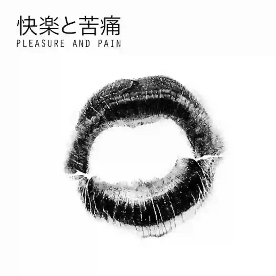 Pleasure & Pain feat. Miss Kittin (Strip Steve Remix) cover