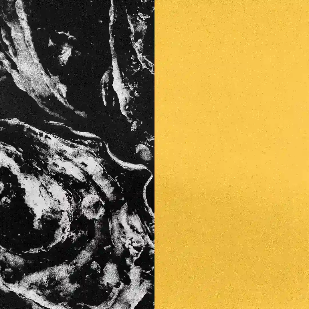 Choleric cover
