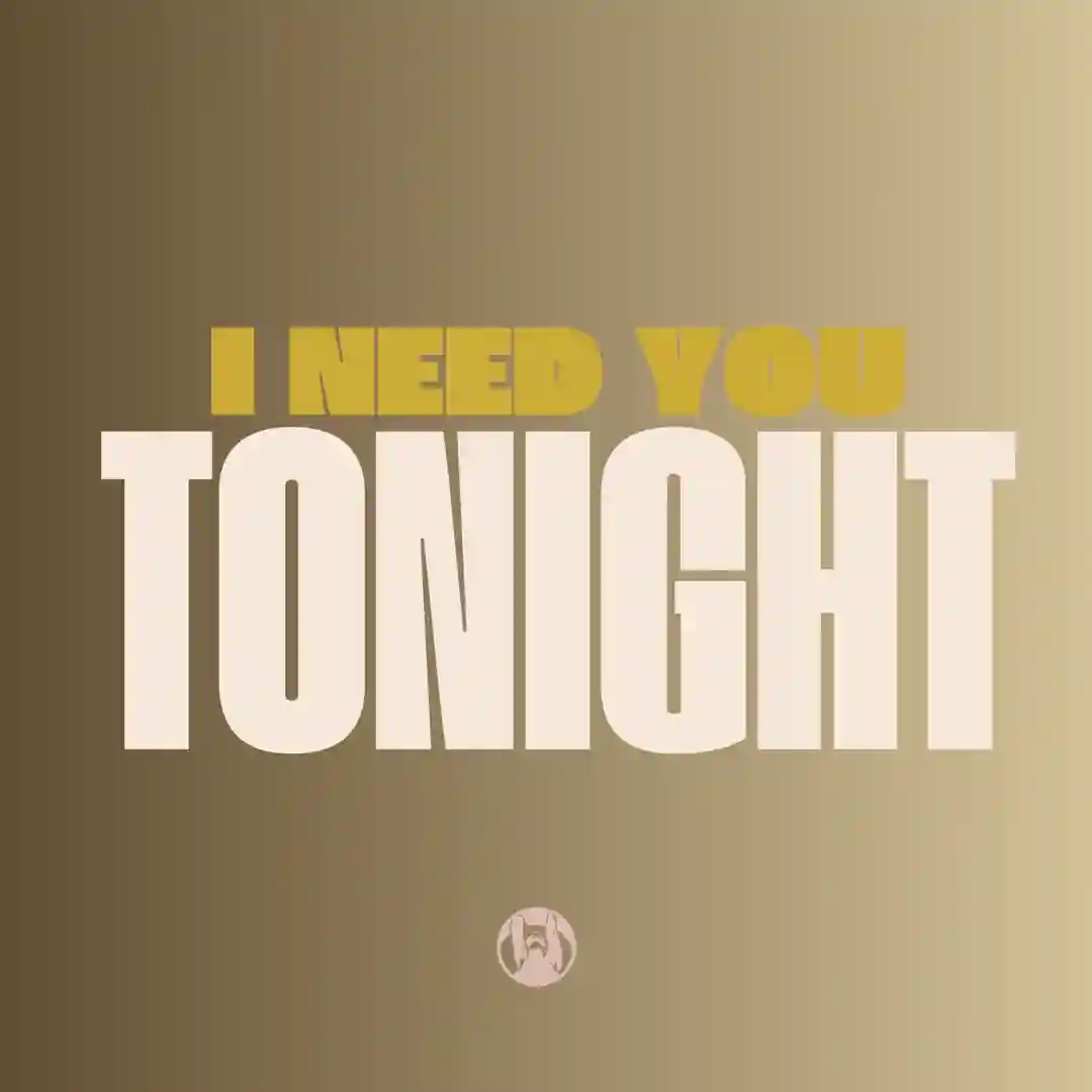 I need you Tonight (Timbee Remix) cover