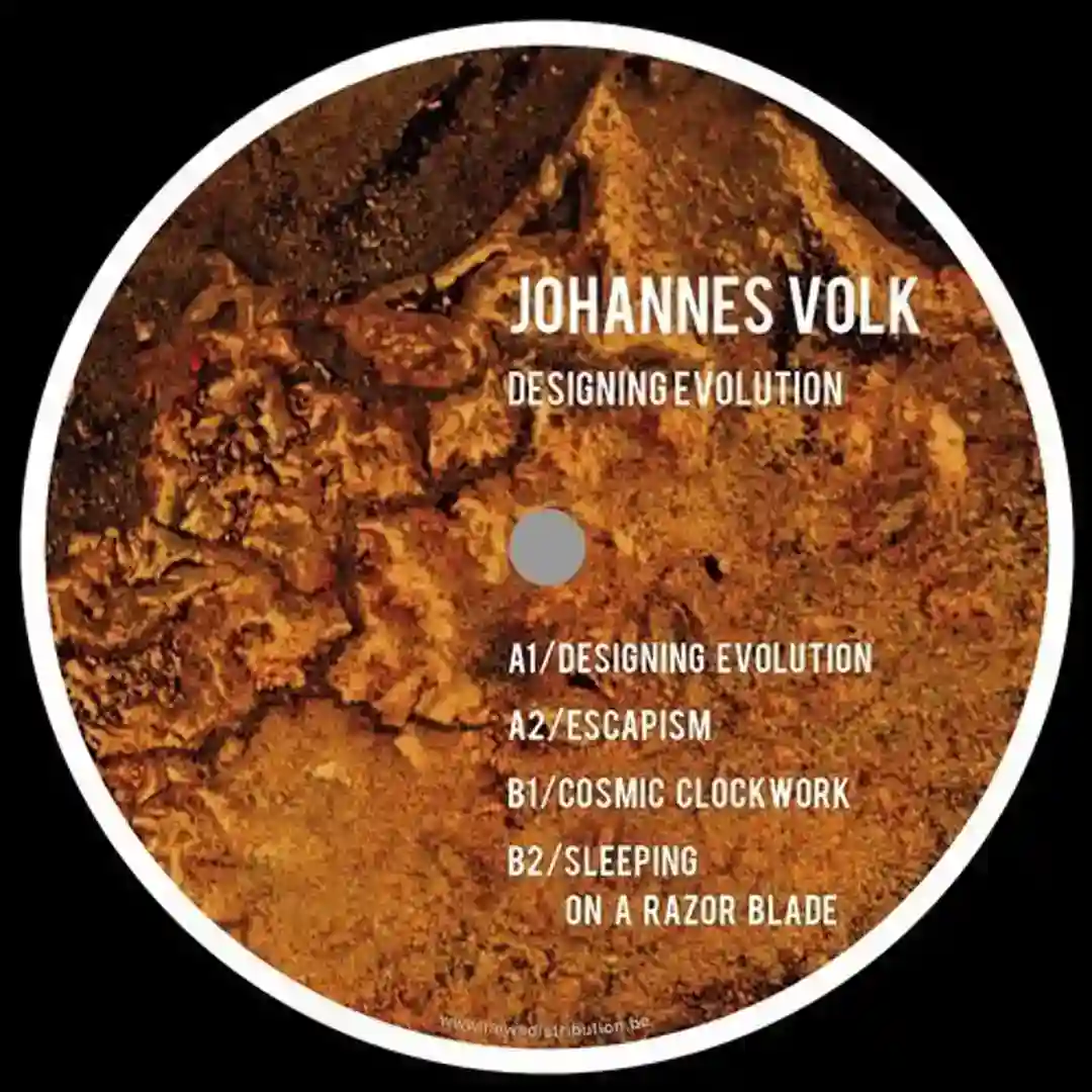 Designing Evolution (Original Mix) cover