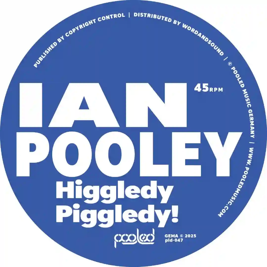 Higgledy Piggledy! (Original Mix) cover