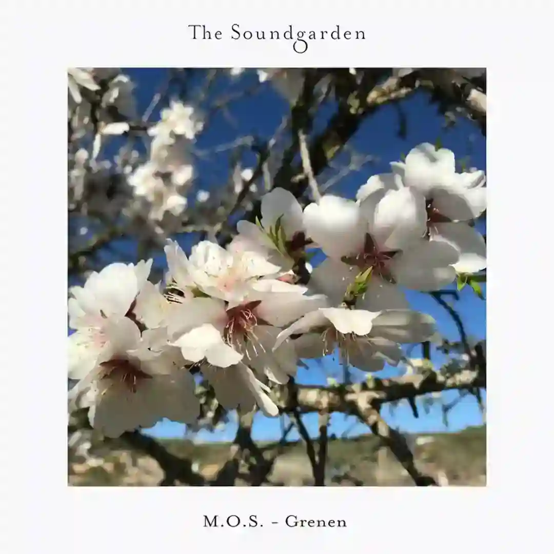 Grenen cover