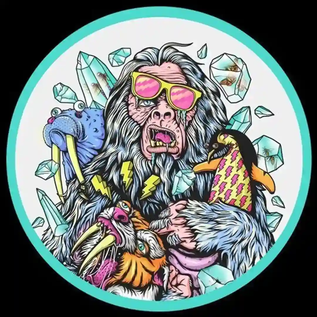 Bling Bling (Original Mix) cover