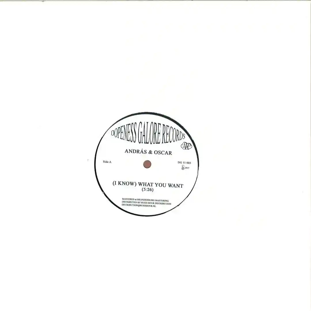 Looking Back (Zanzibar Chanel Remix) cover