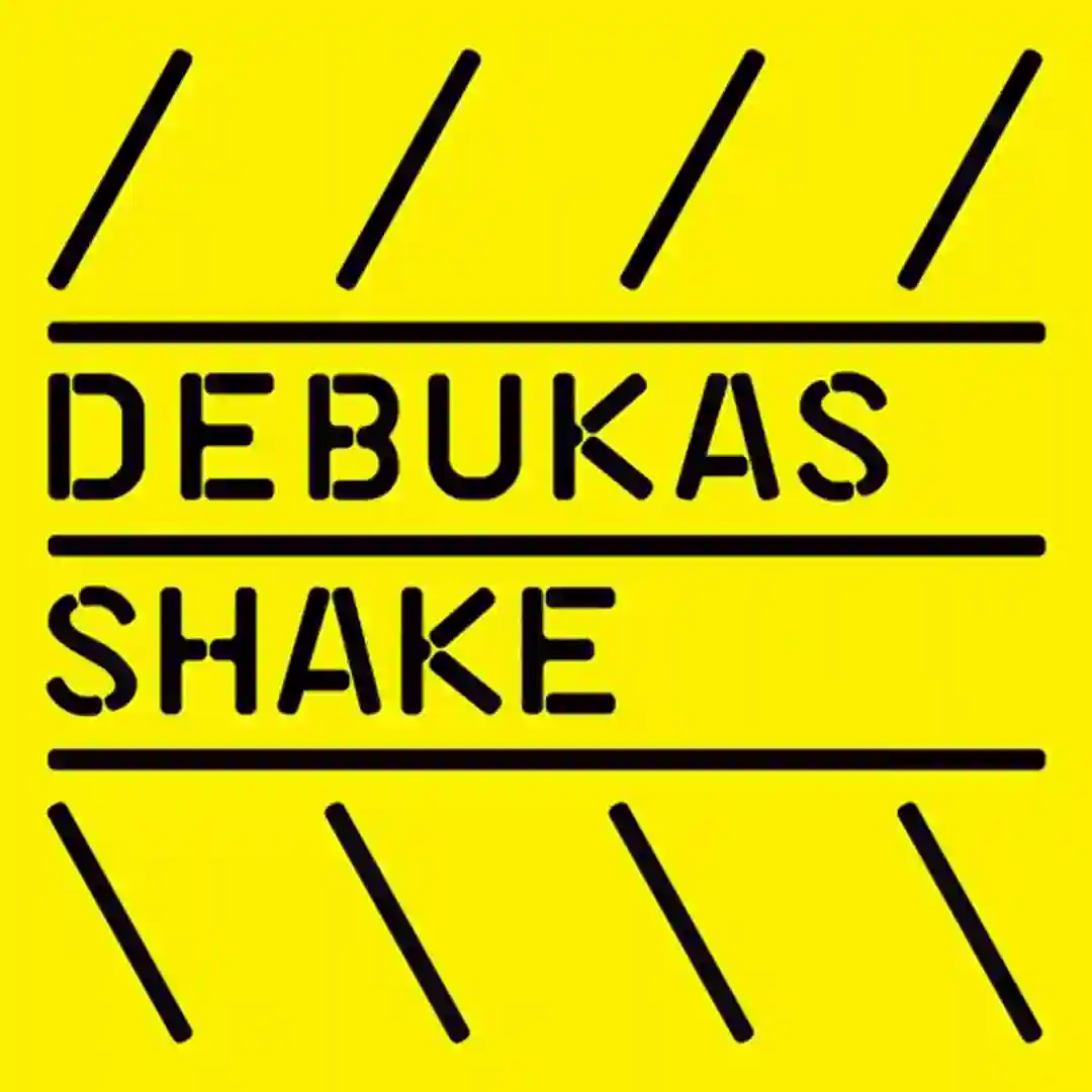 Shake (Simon Baker Remix) cover
