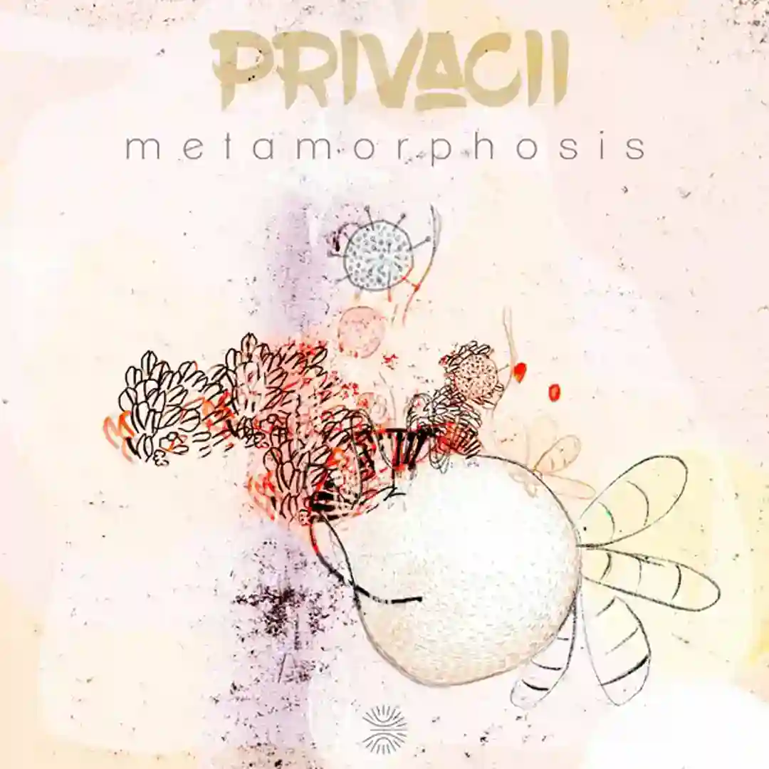 Peace (Extended Mix) cover