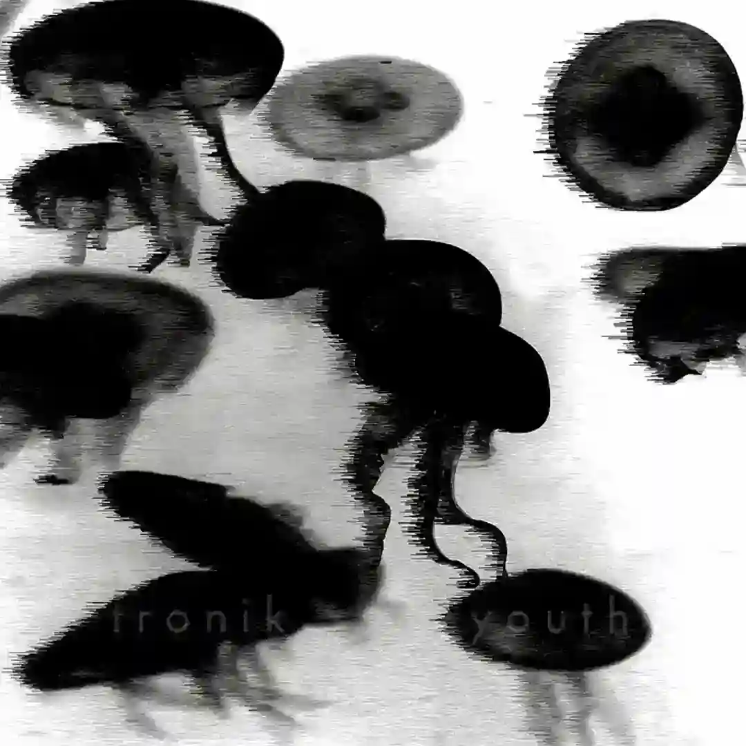 Splinter Of The Minds Eye (Two Mamarrachos mix) cover