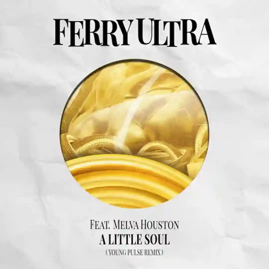 A Little Soul feat. Melva Houston (Young Pulse Remix Instrumental) cover
