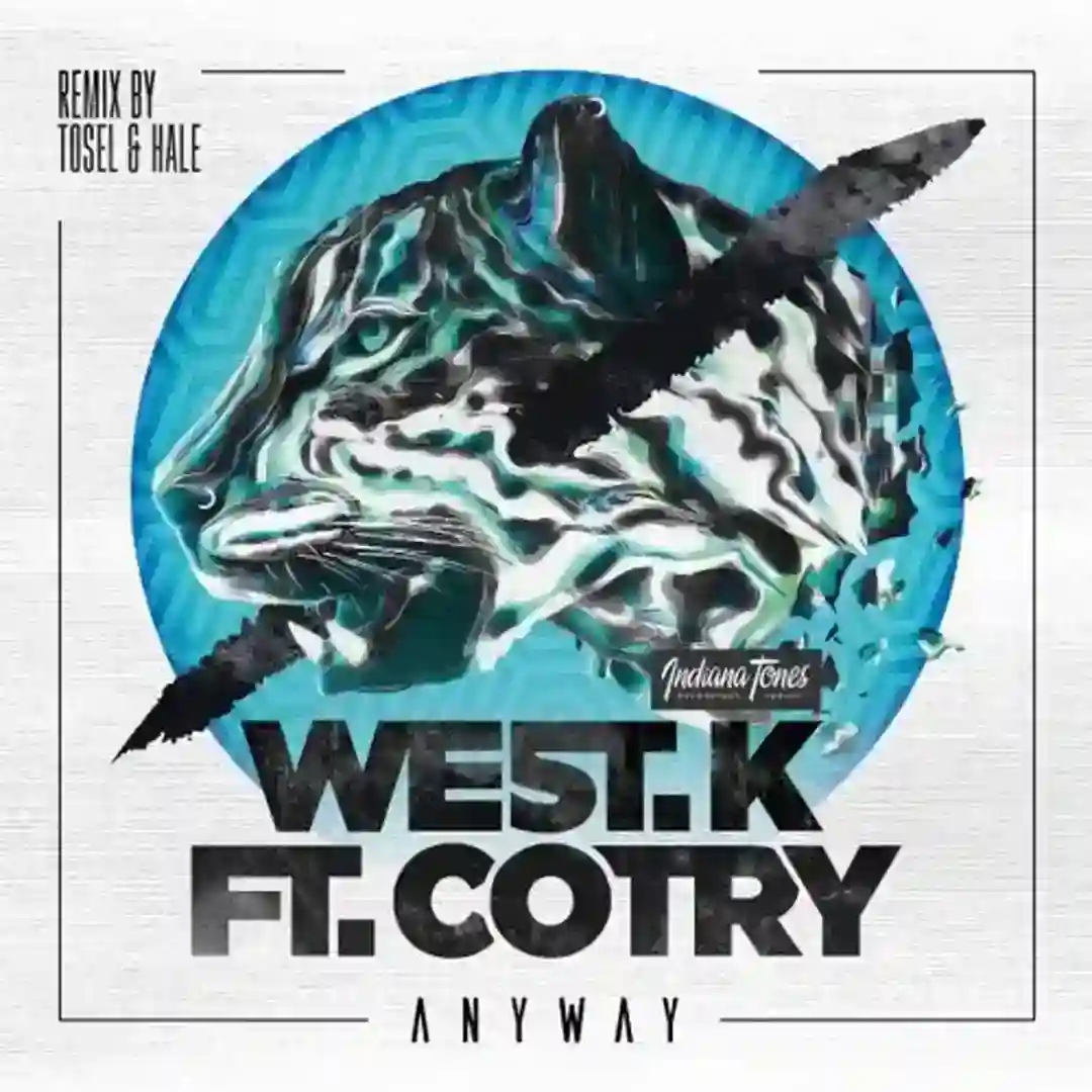 Anyway feat. Cotry (Tosel & Hale Remix) cover