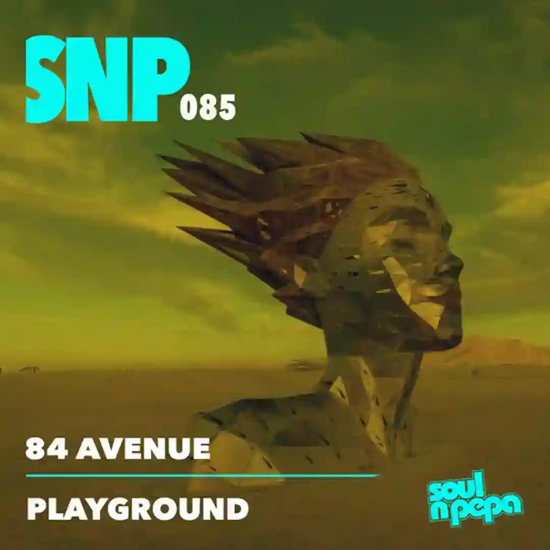 Playground cover