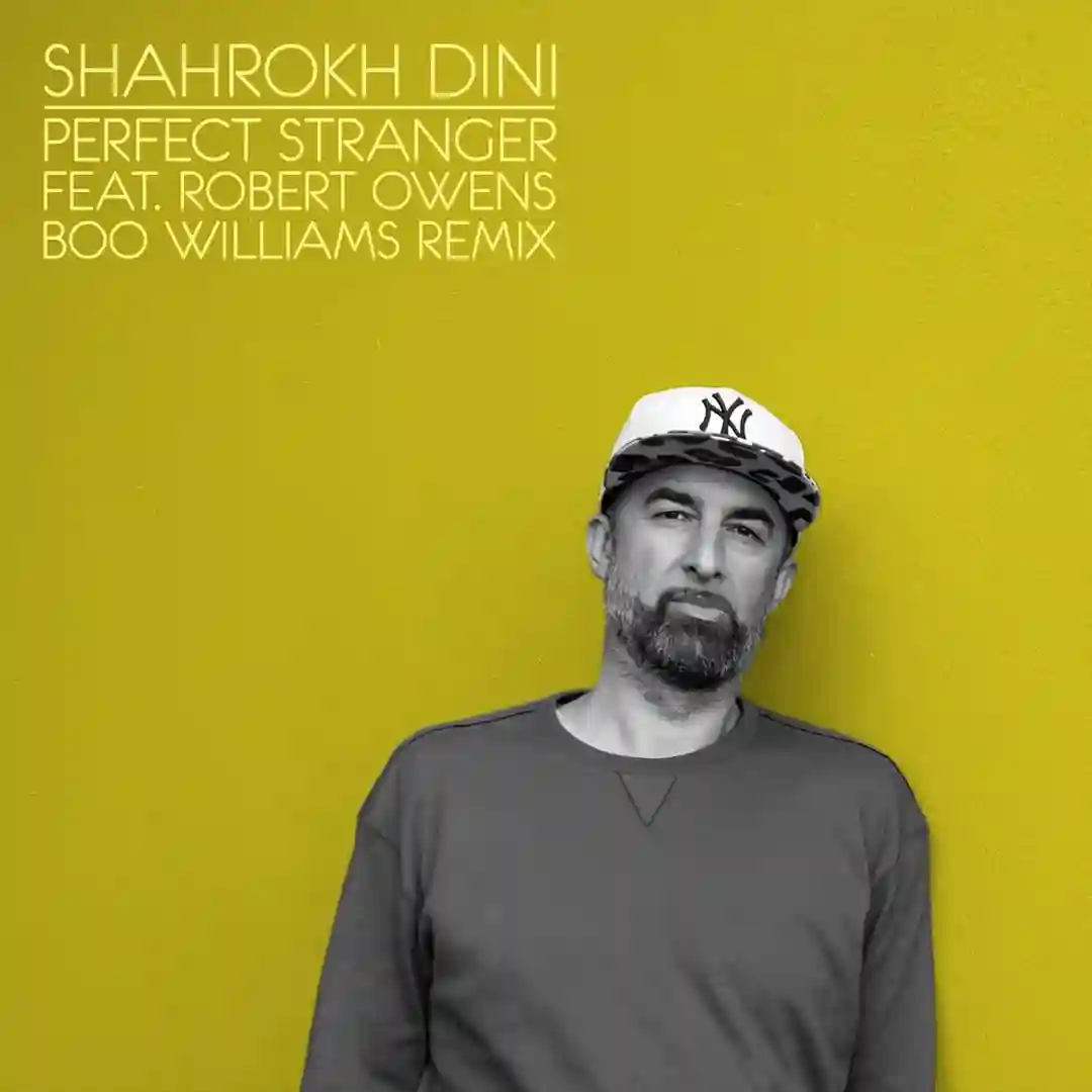 Perfect Stranger feat. Robert Owens (Boo Williams Remix) (2025 Edit) cover
