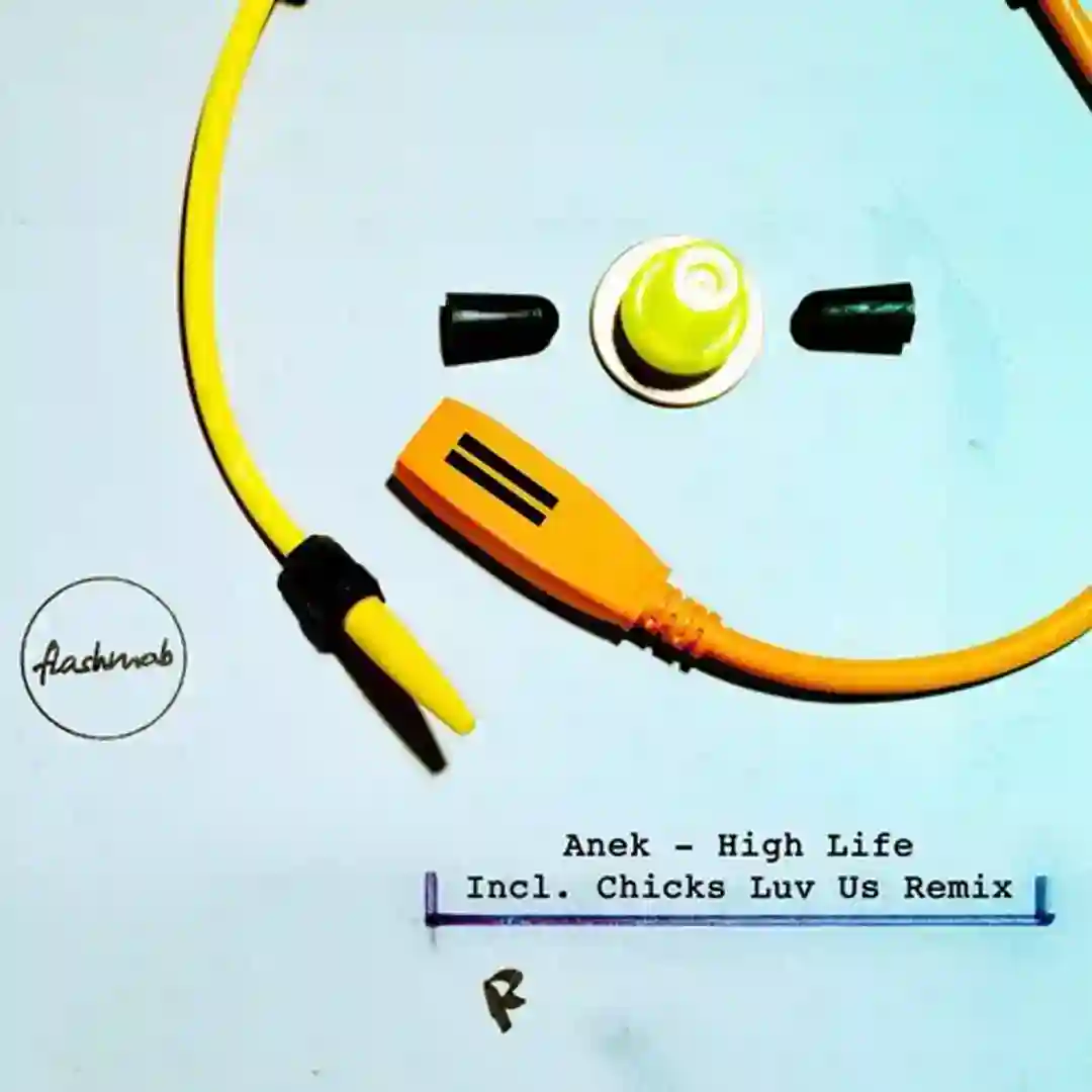 High Life (Chicks Luv Us Remix) cover